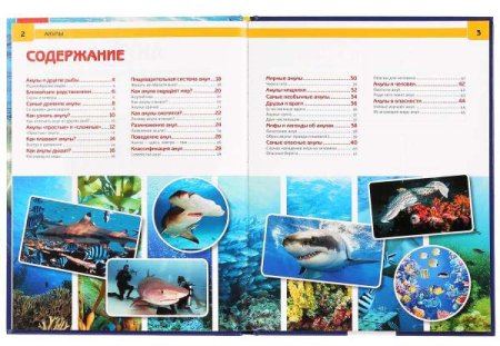 Умка Энциклопедия с развивающими заданиями «Акулы»  – внешний вид и детали