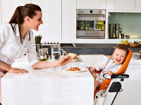 Peg-perego Стульчик для кормления Siesta Follow Me / цвет Aquarelle