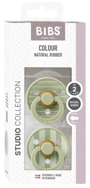 Bibs Набор латексных пустышек Studio Colour, с 6 месяцев Pin - Sage Mix