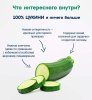 Fleur Alpine Пюре "Цукини", с 4 месяцев, 90 г
