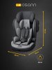 Osann Автокресло Flux Plus (9-36 кг) / цвет Universe Grey (серый)
