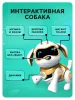 IQ BOT Собака-робот интерактивная «Чаппи», звук, свет, ходит цвет золотой