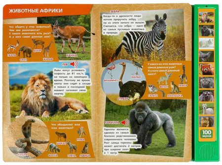 Умка Озвученная книга «100 голосов животных»  – внешний вид и детали