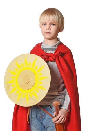 ЯиГрушка Щит круглый