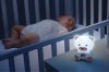 Chicco Ночник Медвежонок Dreamlight / цвет розовый