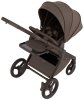 Детская коляска ANEX Flo 2in1  ((fl-07c) Browny)