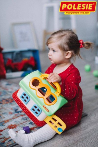 Игрушка-сортер Сказочный домик (в сетке)