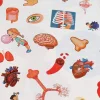 Книга с наклейками "Умка" Тело человека.