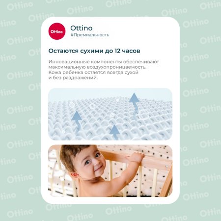 Ottino Подгузники-трусики, размер XL (12+ кг), 36 шт