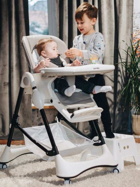 Carrello Стульчик для кормления Stella CRL-9503 / цвет Palette Grey (темно-серый)