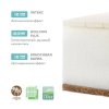 Матрас в кроватку EcoLife / 60х119х12