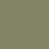 CRL-5529 Коляска CARRELLO Bravo Lite  (Bamboo Green)