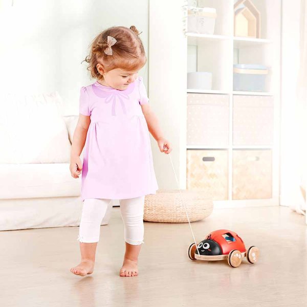 Hape Каталка - сортер "Божья коровка", 5 предметов