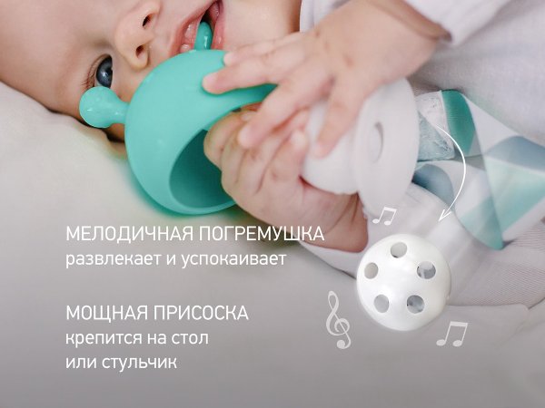 Roxi Kids Силиконовый прорезыватель Mushroom с держателем в футляре / цвет мятный