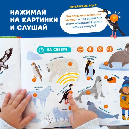 Abumba Интерактивная книга Fingerbook «Какие бывают животные»