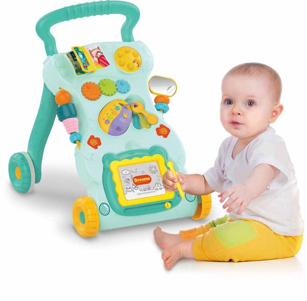 Haunger Развивающий центр Ходунки-каталка "Умный малыш" HE0822