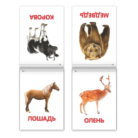 Набор книжек "Обучающие карточки на скрепке" 8 шт  20 стр. 3015934