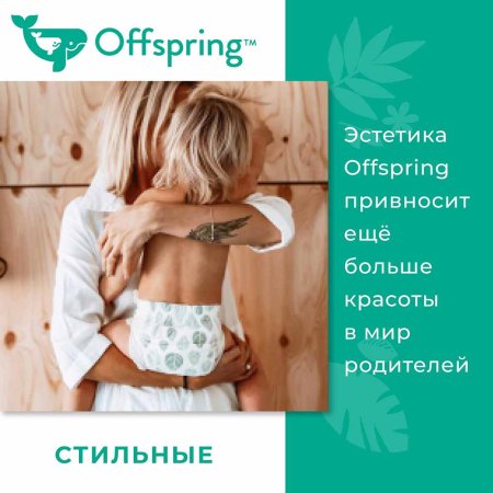 Offspring Трусики-подгузники L 9-14 кг, 36 шт / цвет Совы