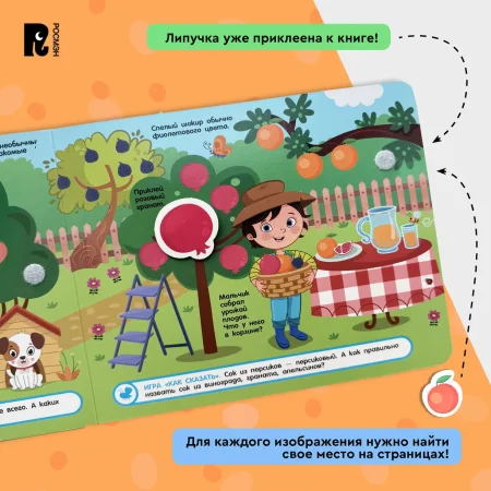Росмэн "Фрукты и овощи" книга с липучками