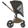 Anex Коляска 2 в 1 Flo / цвет Astra (коричневый)