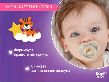 ROXY-KIDS Соска-пустышка ортодонтическая TIGER с футляром, 2 шт, 0-6 мес