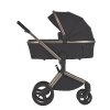Детская коляска ANEX Flo 2in1  ((fl-01) Solo)