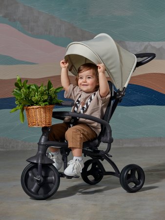 Happy Baby Велосипед трехколесный "Mercury" / цвет sand