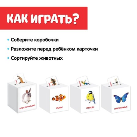 IQ-Zabiaka Сортер-копилка "Животные" по методике Г. Домана