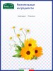 Helan Детские органические влажные салфетки Linea Bimbi, 60 штук