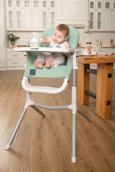Carrello Стульчик для кормления Indigo CRL-8402 / цвет Light Grey (серый)