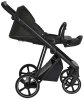 Roan Коляска 2 в 1 Sol / цвет Black Forest (черный)