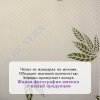 Bambini moretti  детский матрас двусторонней жесткости "aero кокос 12 lux" / цвет зеленый