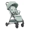 Коляска Chicco TAORMINA   (sage)