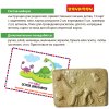 Bondibon Настольная игра-квест Остров динозавров
