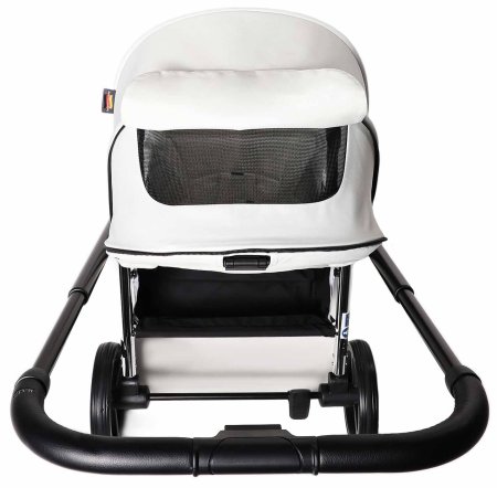 Labala Коляска Raiz 2 в 1 / цвет Beige (светло-бежевый)