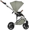 Anex Коляска 2 в 1 Eli / цвет Excite (серый)