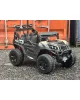 Багги HC301B  (Бежевый)
