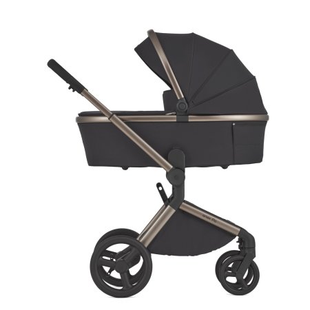 ANEX Детская коляска  Flo 2in1 