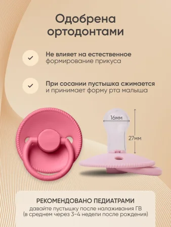 Пустышка силикон класс S Baby pink/Berry 0+ 2шт арт. 566254 PAOMMA 
