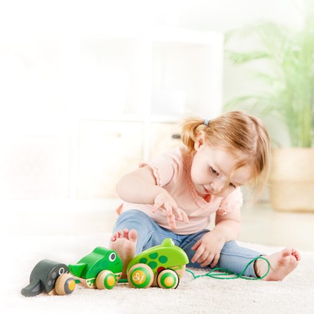 Hape Игрушка каталка "Семья лягушек на прогулке"