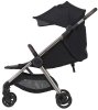Anex Коляска 2 в 1 iQ Premium new / цвет Smoky (черный)