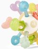 Happy Baby Прорезыватель для зубов colorful