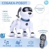 IQ BOT Интерактивная игрушка "Дружок-трюкач" звук, управление с пульта 