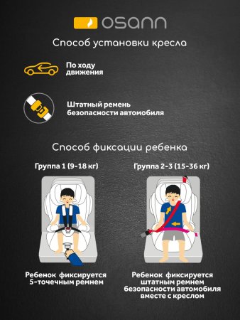Osann Автокресло Flux Plus (9-36 кг) / цвет Universe Grey (серый)