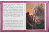 Умка Книга «Виталий Бианки. Мышонок Пик» из серии «Любимые книжки»  – внешний вид и детали