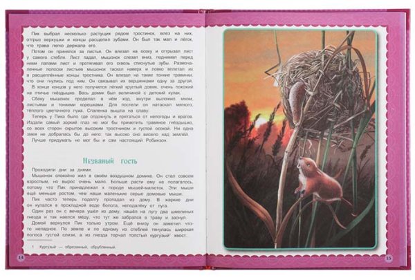 Фото товара Умка Книга «Виталий Бианки. Мышонок Пик» из серии «Любимые книжки» 