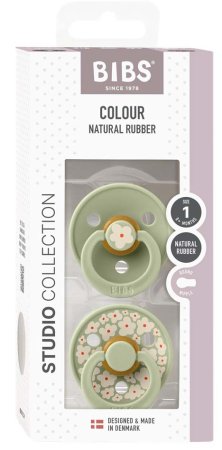 Bibs Набор латексных пустышек Studio Colour, 0+ Jasmine - Sage Mix