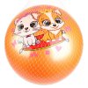 Играем вместе Мяч «Питомцы»