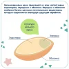 Fleur Alpine Каша безмолочная кукурузно-рисовая 175г с 5месяцев