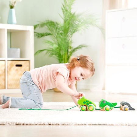 Hape Игрушка каталка "Семья лягушек на прогулке"